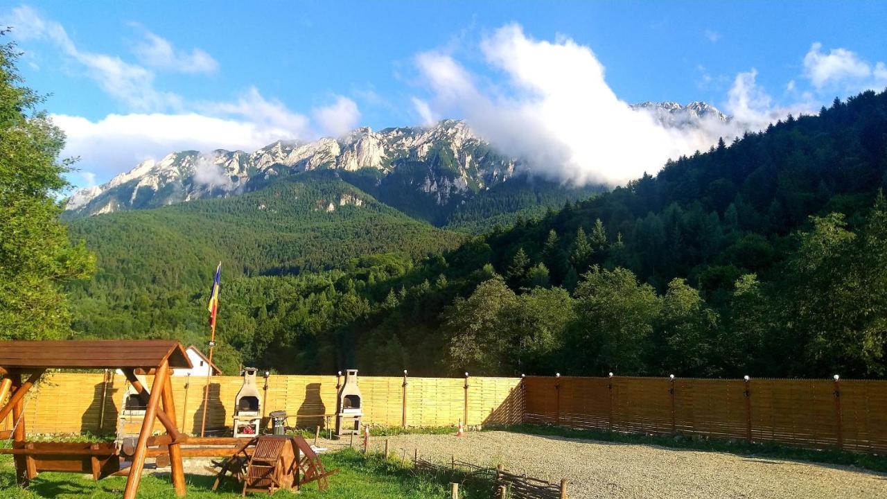 Aroa Mountain 4 *
