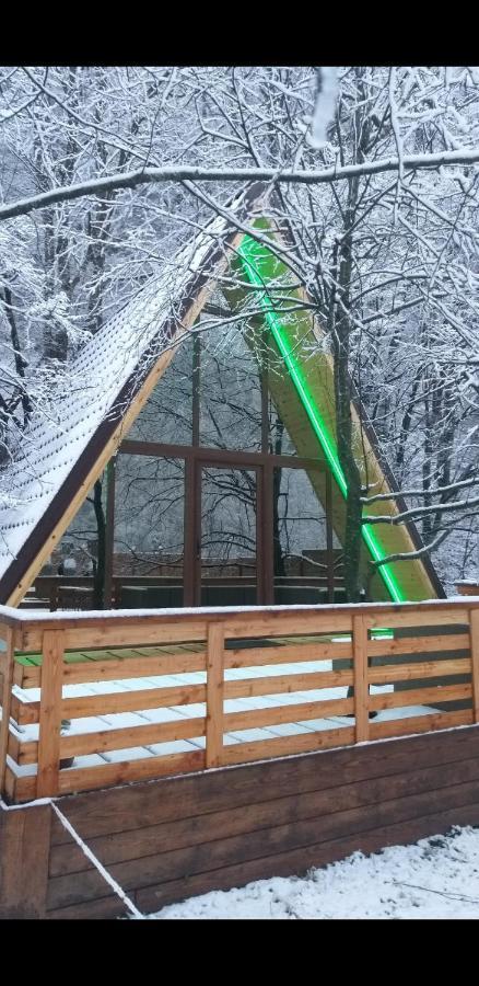 Holiday home Aroa Mountain 4 Zarnesti