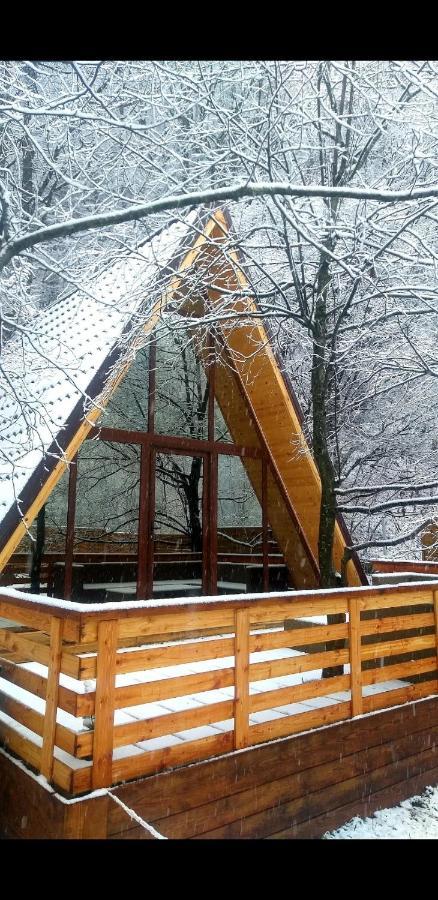 Aroa Mountain 4 Holiday home