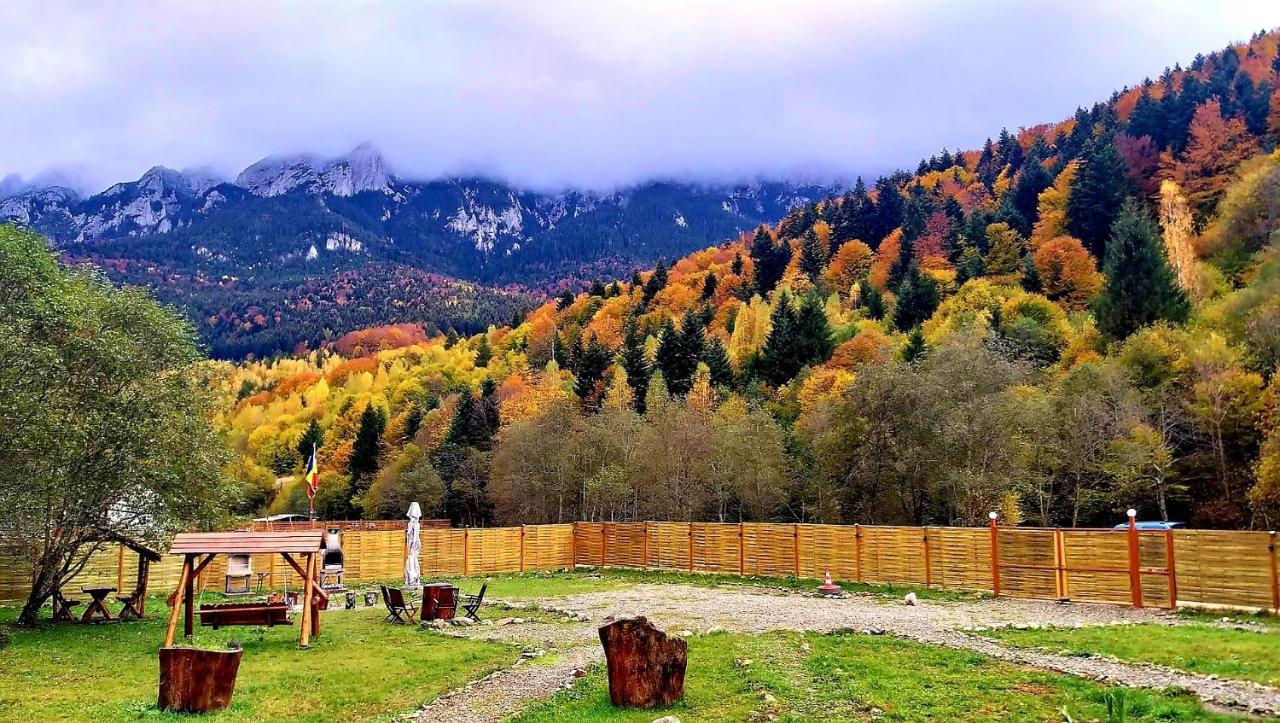 Aroa Mountain 4 Holiday home *