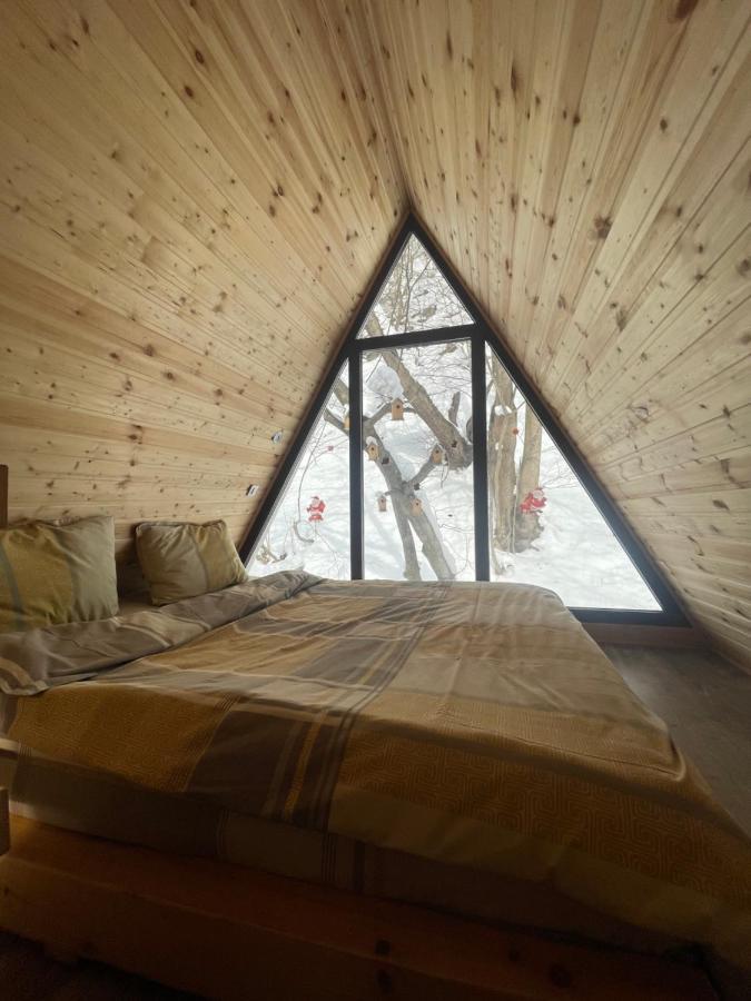 Aroa Mountain 4 *