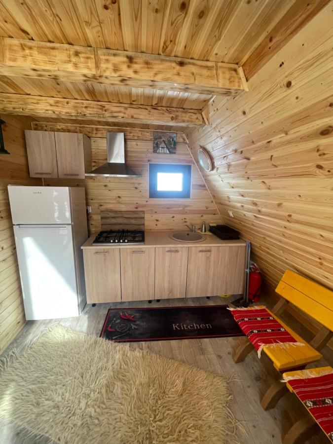 Holiday home Aroa Mountain 4 Zarnesti